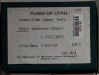 Image Associated With the Occurence